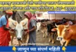 Domestic Cow Rearing Subsidy Scheme of Maharashtra Govt