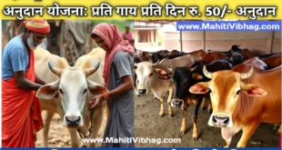 Domestic Cow Rearing Subsidy Scheme of Maharashtra Govt