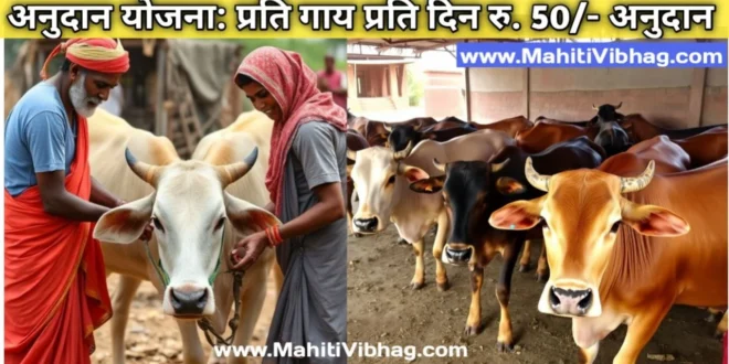 Domestic Cow Rearing Subsidy Scheme of Maharashtra Govt